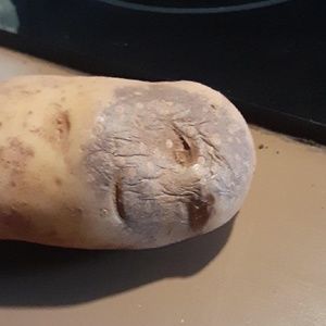 Meet your Posher, Isaac